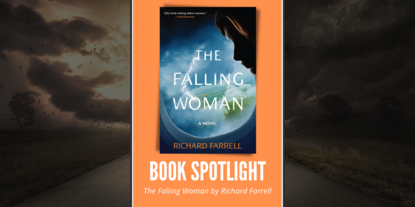 The Falling Woman by Richard Farrell Header
