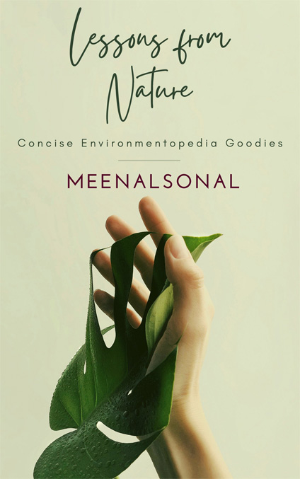Lessons-From-Nature-by-Meenal-Sonal